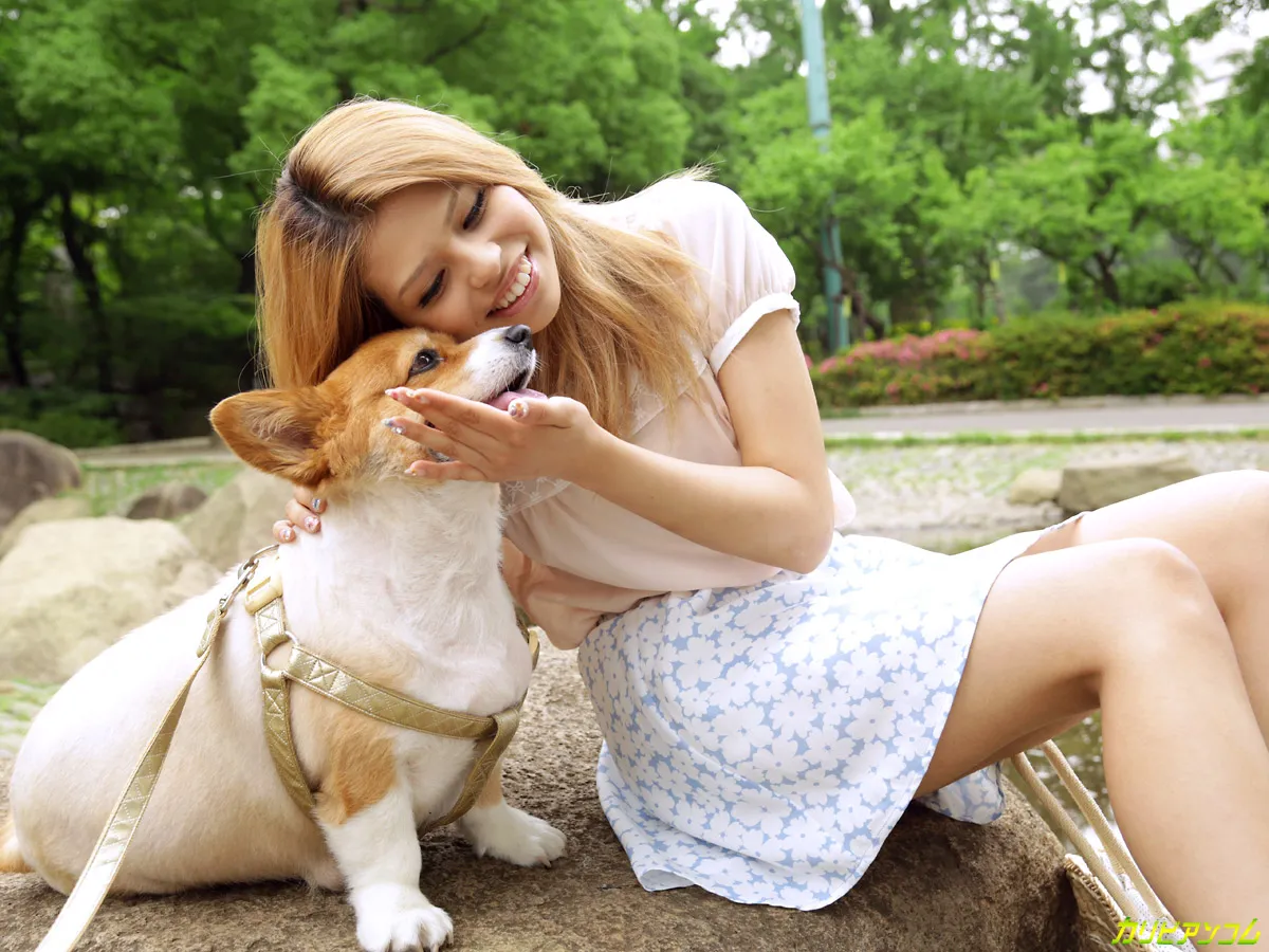 かわいいワンコを連れてナンパに出かけよう-4