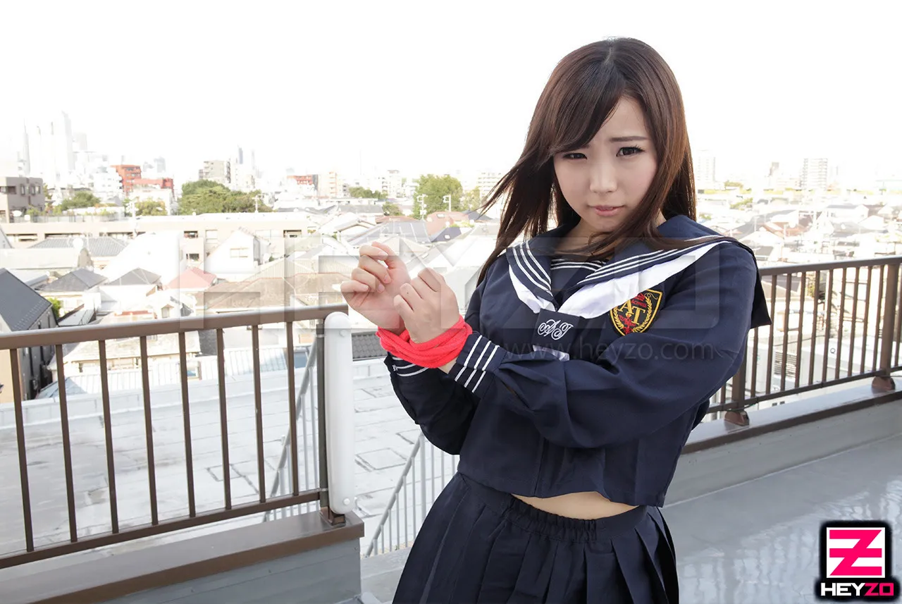 放課後美少女ファイル No.9～されるがままの愛玩娘～-2